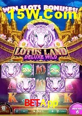 Experiência VIP BetApp